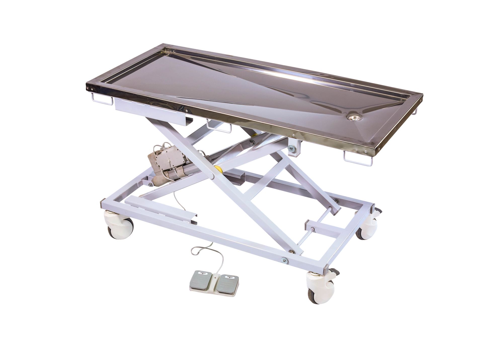 Veterinary Examination Couch