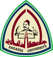 مستشفيات جامعة الزقازيق
